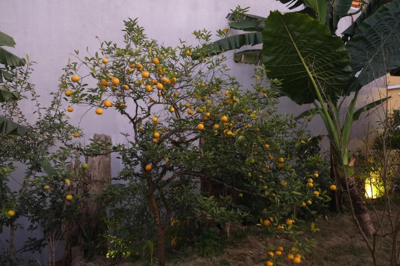 Sapa Charming Homestay Exterior photo
